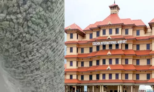 രഹസ്യവിവരത്തിന്റെ അടിസ്ഥാനത്തിൽ പരിശോധന; വല വിരിച്ച് കസ്റ്റംസ്; നെടുമ്പാശ്ശേരി വിമാനത്താവളത്തിൽ നിന്ന് 4 കോടിയുടെ ഹൈബ്രിഡ് കഞ്ചാവ് പിടികൂടി