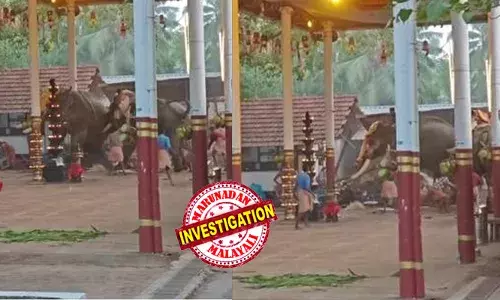 കൊയിലാണ്ടി മണക്കുളങ്ങര ഉത്സവത്തിനിടെ ഒരാന മറ്റൊരാനയെ കുത്തി; ആനകള്‍ ഇടഞ്ഞു; തിക്കിലും തിരക്കിലുംപെട്ട് രണ്ടു സ്ത്രീകള്‍ മരിച്ചു; നിരവധി പേര്‍ക്ക് പരിക്കേറ്റു; അഞ്ച് പേരുടെ നില ഗുരുതരം;  വെടിക്കെട്ടിന്റെ ശബ്ദം കേട്ട് ആന വിരണ്ടതെന്ന് പ്രാഥമിക വിവരം