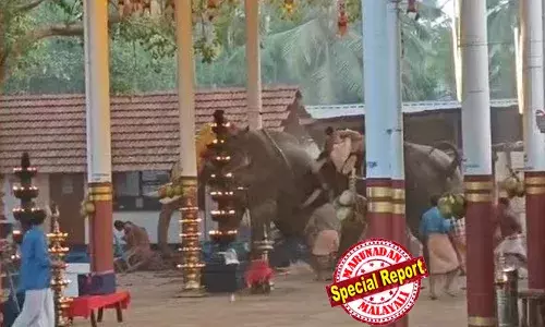 ഉഗ്രശബ്ദത്തില്‍ കരിമരുന്ന് പ്രയോഗം; സമീപത്തെ കെട്ടിടങ്ങളുടെ ഓടുകള്‍ ഇളകി വീണു;   ശബ്ദം കേട്ട് വിരണ്ട ആന തൊട്ടടുത്തുനിന്ന ആനയെ കുത്തി; ഉത്സവത്തില്‍ പങ്കെടുക്കാനെത്തിയവര്‍ ചിതറിയോടിയെന്നും ദൃക്‌സാക്ഷികള്‍;  മരണസംഖ്യ മൂന്നായി; ഏഴ് പേരുടെ നില ഗുരുതരം; പരിക്കേറ്റത് ശീവേലി തൊഴാന്‍ നിന്നവര്‍ക്ക്