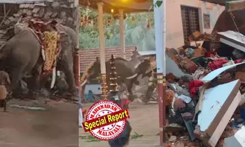 ക്ഷേത്രത്തിന് തൊട്ടടുത്തുള്ള കുളത്തിന് സമീപത്തുനിന്നാണ് വെടിക്കെട്ട് നടത്തിയത്;  ശബ്ദം കേട്ട് വിരണ്ട ആന മുന്നിലുണ്ടായിരുന്ന ആനയെ കുത്തി;  കുത്തേറ്റ ആന മുമ്പിലുണ്ടായിരുന്ന ഓഫീസ് റൂമില്‍ ഇടിച്ചു;  ഓഫീസ് ഒന്നിച്ചു തകര്‍ന്നുവീണു; ആളുകള്‍ ഇതിനടിയിലായിപ്പോയി;   ആന ആരേയും ഉപദ്രവിച്ചില്ലെന്നും പ്രദേശവാസി; ക്ഷേത്രത്തില്‍ ഉണ്ടായിരുന്നത് 500 ലധികം ആളുകള്‍; ആനയെ ഉടന്‍ തളച്ചതിനാല്‍ വന്‍ അപകടം ഒഴിവായി