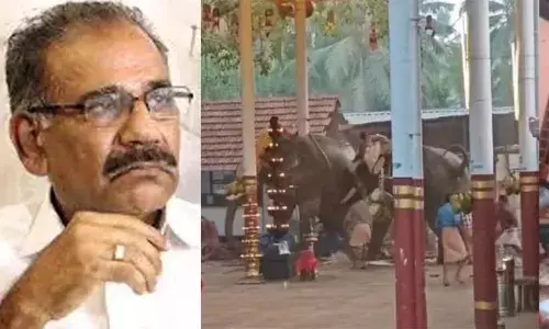 കൊയിലാണ്ടിയില്‍ ആനയിടഞ്ഞുണ്ടായ അപകടം: മരിച്ചവര്‍ക്ക് ക്ഷേത്രം നഷ്ടപരിഹാരം നല്‍കണമെന്ന് മന്ത്രി എ കെ ശശീന്ദ്രന്‍