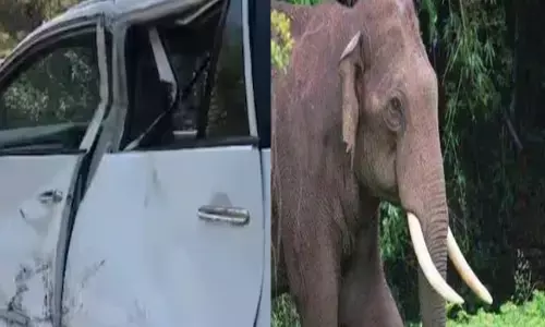 ഇത് എന്റെ ഏരിയ..; മൂന്നാറിൽ കുതിച്ചെത്തി കാട്ടാന; ഓടികൊണ്ടിരുന്ന ഇന്നോവ കാറിനെ കൊമ്പൻ ചവിട്ടി മറിച്ചിട്ടു; തലകീഴായി മറിഞ്ഞു; നിലവിളിച്ച് യാത്രക്കാർ; രക്ഷപ്പെട്ടത് ഭാഗ്യം!