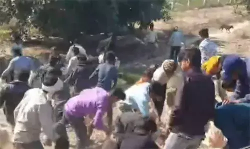 എക്‌സ്പ്രസ് വേയില്‍ കോഴിലോറി മറിഞ്ഞു; കോഴികളെ കൈക്കലാക്കി നാട്ടുകാര്‍; നാട്ടുകാരെ പിരിച്ചു വിട്ടത് പോലീസെത്തി