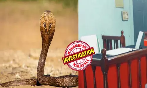 ആ..എല്ലാര്‍ക്കും സുഖമല്ലേ..; കണ്ണൂര്‍ കുടുംബകോടതിയില്‍ സീരിയസ് വാദം മുറുകുന്നു; ഇടയ്ക്ക് ശു..ശു ശബ്ദം; സൈലന്‍സ്..പ്ലീസ് എന്ന് ജഡ്ജി; വീണ്ടും അപശബ്ദം തുടര്‍ന്നു; പരിശോധനയില്‍ കിടുങ്ങി; മേശയ്ക്ക് താഴെ നീളന്‍ പാമ്പ്; ഒടുവില്‍ വനം വകുപ്പെത്തി കുട്ടനെ ചാക്കിലാക്കി; ജഡ്ജിയുടെ ചേംബര്‍ വരെ എത്തിയ അതിഥിക്ക് സംഭവിച്ചത്!