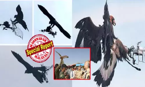 ഇനി വിഐപി സന്ദർശന വേളയിൽ ഡ്രോണ്‍ പറത്തിയാൽ പണി ഉറപ്പ്; കഴുകന്മാർക്ക് പ്രത്യേക പരിശീലനം നൽകാൻ തീരുമാനം; ആകാശത്ത് കുതിച്ചുപായുന്ന മെഷീനിനെ നിമിഷനേരം കൊണ്ട് അടിച്ചിടും; ലിസ്റ്റിൽ പരുന്തുകൾ ഉൾപ്പടെയുള്ള പക്ഷികൾ; പോലീസിന്റെ മൂന്ന് വർഷത്തെ കഠിനാധ്വാനത്തിന് ഫലം; തെലങ്കാനയിൽ ഡ്രോണ്‍ വേട്ടയ്ക്ക് ഗരുഡ സ്ക്വാഡ് കളത്തിലിറങ്ങുമ്പോൾ!