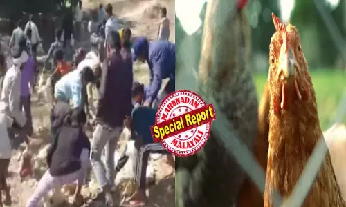 ഇന്നേക്ക് ഒരു പുടി...എല്ലാരും വാങ്കെ; കോഴികളുമായി പോകവേ ലോറി മറിഞ്ഞു; ഇടിയുടെ ആഘാതത്തിൽ ഡ്രൈവറിനും കിളിക്കും പരിക്ക്; നാട്ടുകാർ ഓടിവരുന്നത് കണ്ട് ഒരു നിമിഷം ആശ്വസിച്ചു; ഒടുവിൽ ആശുപത്രിയിൽ എത്തിക്കുമെന്ന പ്രതീക്ഷയ്ക്ക് വിരാമം; കൈയിൽ കിട്ടിയ കോഴികളുമായി ആളുകൾ കുതറിയോടി; ബഹളം കേട്ട് പോലീസ് എത്തിയപ്പോൾ സംഭവിച്ചത്!