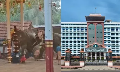 കൊയിലാണ്ടിയില്‍ ആന ഇടഞ്ഞ് മൂന്ന് പേര്‍ മരിച്ച സംഭവം; ആനകളുടെ ഉത്തരവാദിത്തം ഉടമസ്ഥന്; ആനകളെ നൂറ് കിലോമീറ്ററില്‍ കൂടുതല്‍ യാത്ര ചെയ്യിപ്പിച്ചത് എന്ത് അടിസ്ഥാനത്തില്‍; പടക്കം പൊട്ടിക്കുന്ന സ്ഥലത്ത് ആനയെ എന്തിന് നിര്‍ത്തി; ഗുരുവായൂര്‍ ദേവസ്വം ബോര്‍ഡിനെതിരെ വിമര്‍ശനവുമായി കോടതി