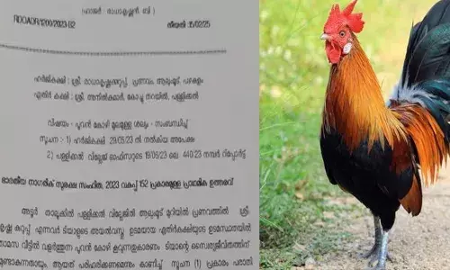 പുലര്‍ച്ചെ മൂന്ന് മുതലുളള പൂവന്‍കോഴിയുടെ കൂവല്‍ കാരണം ഉറങ്ങാന്‍ സാധിക്കുന്നില്ല; പരാതിയുമായി അയല്‍ക്കാരന്‍: കോഴിക്കൂട് മാറ്റി സ്ഥാപിക്കാന്‍ ഉത്തരവിട്ട് ആര്‍ഡിഒ