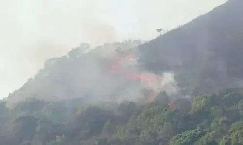 മാനന്തവാടി കമ്പമലയില്‍ വീണ്ടും തീപിടിത്തം; ആരോ തീയിട്ടതാകാമെന്ന് മാനന്തവാടി ഡിഎഫ്ഒ