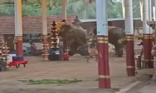 കുറുവങ്ങാട് ഉത്സവത്തിനിടെ ആനയിടഞ്ഞ സംഭവം; മരിച്ച ലീലയുടെ സ്വർണ മാലയുടെ രണ്ട് ഭാഗങ്ങൾ കണ്ടെത്തി; കുടുംബത്തിന് കൈമാറി; സൂക്ഷിച്ചിരുന്നത് ആശുപത്രിയിൽ