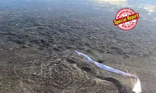 വലിയ ദുരന്തമെന്തോ വരാനിരിക്കുന്നു; ദുകമ്പമോ, സുനാമിയോ, അതോ ചുഴലിക്കൊടുങ്കാറ്റോ? കനേറി ദ്വീപുകളിലെ ബീച്ചില്‍ അപൂര്‍വ്വമായ ഓര്‍ മത്സ്യം പ്രത്യക്ഷപ്പെട്ടു; എങ്ങും പരിഭ്രാന്തി; എന്തിനാണ് ഓര്‍ മത്സ്യത്തെ ആളുകള്‍ ഭയക്കുന്നത്?