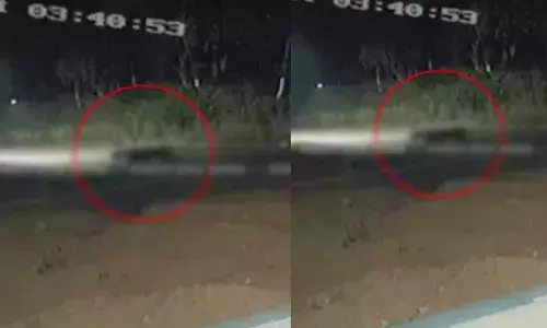 വീടിന് സമീപം കടുവ; തലപ്പുഴയില്‍ വീണ്ടും വനം വകുപ്പിന്റെ പരിശോധന: ഭീതിയില്‍ നാട്ടുകാര്‍