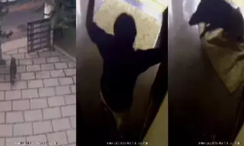 വീട്ടിലേക്ക് ഓടിക്കയറി കാട്ടുപന്നി; യുവാവ് രക്ഷപ്പെട്ടത് തലനാരിഴയ്ക്ക്