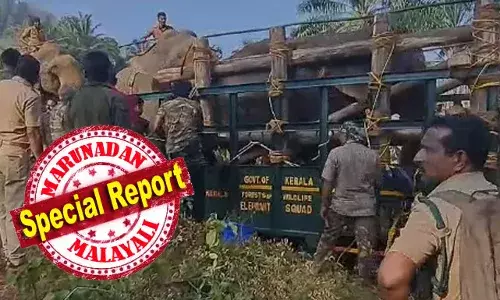 ആരോഗ്യം വീണ്ടെടുത്ത ആന തലയും ചെവിയും ചെറുതായി ഇളക്കി അനുസരണയോടെ ലോറിയില്‍; ആന എഴുന്നേറ്റ ഉടനെ പെട്ടെന്ന് അനിമല്‍ ആംബുലന്‍സിലേക്ക് കയറ്റാനുള്ള ദൗത്യം പൂര്‍ത്തിയാക്കിയത് കുങ്കിയാനകളുടെ സഹായത്താല്‍; മസ്തകത്തില്‍ മുറിവേറ്റ കൊമ്പന്‍ കോടനാട്ടെ അഭയാരണ്യത്തിലേക്ക്; ഡോ അരുണ്‍ സഖറിയയും കൂട്ടരും നേടുന്നത് ആദ്യ ഘട്ട വിജയം