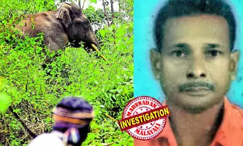 അടങ്ങാതെ കാട്ടാനക്കലി; തൃശൂര്‍ താമരവെള്ളച്ചാലില്‍ ആദിവാസിയായ 60 കാരനെ കാട്ടാന ചവിട്ടിക്കൊന്നു; സംഭവം പീച്ചി ഫോറസ്റ്റ് ഡിവിഷനിലെ വനമേഖലയില്‍;  ആക്രമണം, വനവിഭവങ്ങള്‍ ശേഖരിക്കാന്‍ പോയപ്പോള്‍;  ആദ്യം ആക്രമിച്ചത് ഒപ്പമുണ്ടായിരുന്ന മരുമകനെ