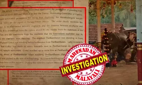 പീതാംബരന്‍ മദം ഇളകാന്‍ സാധ്യതയുള്ള ആന; പടക്കത്തിനെയും പേടി; ആനയ്ക്ക് ചങ്ങല ഇല്ലാതിരുന്നതും, പടക്കം അലക്ഷ്യമായി പൊട്ടിച്ചതും അപകടത്തിന് കാരണം; പീതാംബരന്‍ മുന്‍പും മറ്റ് ആനകളെ ആക്രമിച്ചിട്ടുണ്ടെന്നും റിപ്പോര്‍ട്ട്; കൊയിലാണ്ടിയില്‍ ആന ഇടഞ്ഞ സംഭവം സോഷ്യല്‍ ഫോറസ്ട്രി കണ്‍സര്‍വേറ്ററുടെ റിപ്പോര്‍ട്ട് പുറത്ത്
