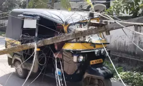 ചൊവ്വല്ലൂര്‍പ്പടിയിൽ മരം വീണ് അപകടം; വൈദ്യുതി പോസ്റ്റുകള്‍ ഒടിഞ്ഞു; ഓട്ടോ ഡ്രൈവർ രക്ഷപ്പെട്ടത് തലനാരിഴയ്ക്ക്; വൻ നാശനഷ്ടങ്ങൾ