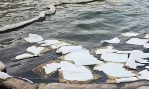 ഒമാനിലെ സമുദ്രോപരിതലങ്ങളിൽ എണ്ണ ചോർച്ച; ഉറവിടം വ്യക്തമല്ല; സ്ഥിരീകരിച്ച് ജൈവവൈവിധ്യ അതോറിറ്റി; അന്വേഷണം തുടങ്ങി ഒമാനിലെ സമുദ്രോപരിതലങ്ങളിൽ എണ്ണ ചോർച്ച; ഉറവിടം വ്യക്തമല്ല; സ്ഥിരീകരിച്ച് ജൈവവൈവിധ്യ അതോറിറ്റി; അന്വേഷണം തുടങ്ങി