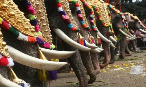 ആരോട് ഈ വാശി..; അധികൃതർ അപേക്ഷ തള്ളിയിട്ടും ഉത്സവത്തിനു ആനയെ എഴുന്നള്ളിച്ചു; ക്ഷേത്ര ഭാരവാഹികൾക്കെതിരേയും ഉടമക്കെതിരേയും കേസെടുത്തു; നേരിടുമെന്ന് ക്ഷേത്ര കമ്മറ്റി