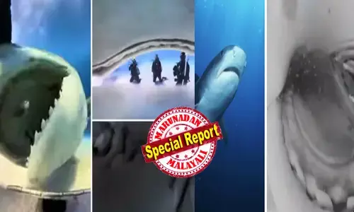 സീ ബീസ്റ്റ്..; കൂർത്ത മൂർച്ചയുള്ള പല്ലുകൾ; ഒരു മനുഷ്യനെ വറ്റൽ കഴിക്കുന്നതുപോലെ നിഷ്പ്രയാസം അകത്താക്കാം; ഉറപ്പുള്ള താടിയെല്ലുകൾ; അമ്പരന്ന് സോഷ്യൽ മീഡിയ; സ്രാവ് വിഴുങ്ങിയ ക്യാമറയ്ക്കുള്ളിലെ കാഴ്ചകൾ വൈറൽ; കടൽ ഭീമന് ഭക്ഷണം നൽകുന്നതിനിടെ സംഭവിച്ചത്!