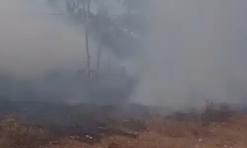 കോവളത്തെ പറമ്പിൽ തീ ആളിക്കത്തി; ബീച്ചിലും ഹോട്ടലുകളിലും ഉള്ള സഞ്ചാരികൾ പരിഭ്രാന്തരായി; പലർക്കും പുക ശ്വസിച്ച് ആസ്വസ്ഥത ഉണ്ടായി; ഒടുവിൽ തീയണച്ചു