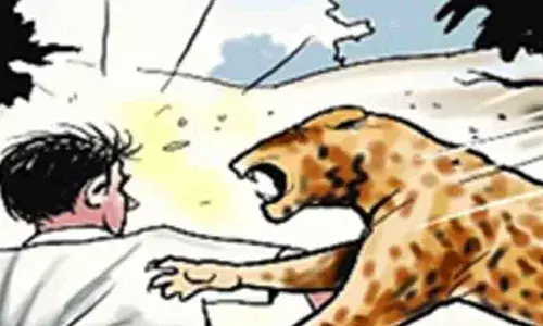 വന്യജീവി ആക്രമണം; നഷ്ടപരിഹാര തുക കൂട്ടും: ഇന്‍ഷുറന്‍സ് പരിഗണിക്കുമെന്നും മുഖ്യമന്ത്രി