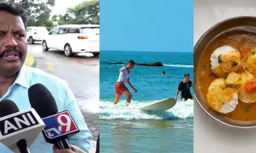 ഗോവയില്‍ വിദേശ സഞ്ചാരികള്‍ കുറയുന്നു; കാരണം ഇഡ്ഡലി-സാമ്പാറെന്ന് ബിജെപി എംഎല്‍എ; കടല്‍ത്തീരത്ത് വിളമ്പേണ്ട ഭക്ഷണം വേറെയാണെന്ന് മൈക്കല്‍ ലോബോ