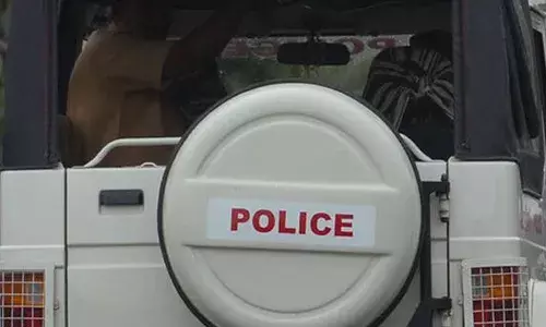 ഉറങ്ങിക്കിടന്ന പെണ്‍കുട്ടിയെ തട്ടിക്കൊണ്ടുപോയി പീഡിപ്പിക്കുവാന്‍ ശ്രമം; പ്രതിയെ തേടി പോലിസ്