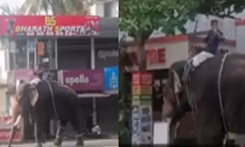 ആശാനേ..ഇതിന്റെ ബ്രേക്ക് എവിടെ..!; ഉത്സവത്തിനെത്തിച്ച ആനയിടഞ്ഞു; റോഡിലിറങ്ങി പരാക്രമം; ആളുകൾ കുതറിയോടി; പാപ്പാന്‍ ഏറെനേരം ആനപ്പുറത്ത് കുടുങ്ങി