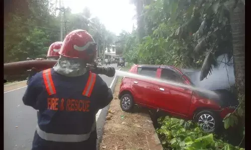 ഓടിക്കൊണ്ടിരുന്ന കാറിന് മുകളിലേക്ക് തേങ്ങ വീണു; ഡ്രൈവര്‍ക്ക് നിയന്ത്രണം തെറ്റി കാര്‍ മരത്തില്‍ ഇടിച്ച് തീ പിടിച്ചു; അഗ്‌നിശമന സേനയെത്തി തീയണച്ചു; യാത്രക്കാര്‍ രക്ഷപ്പെട്ടത് തലനാരിഴയ്ക്ക്