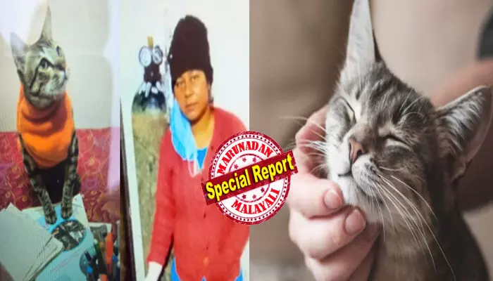 രാവിലെ എണീറ്റപ്പോൾ തന്റെ ഓമന പൂച്ചയ്ക്ക് അനക്കമില്ല; ആശുപത്രിയിലെത്തിച്ചപ്പോൾ മരണം സ്ഥിരീകരിച്ചു; സങ്കടം സഹിക്കാൻ കഴിയുന്നില്ല; പൊലിഞ്ഞുപോയ കുഞ്ഞു ജീവനെ നെഞ്ചോട് ചേർത്ത് നടന്നത് രണ്ട് ദിവസം; ഏകാന്തതയിലേക്ക് തളർത്തികളഞ്ഞു; മനംനൊന്ത് യുവതി ചെയ്തത്; വേദനയോടെ കുടുംബം