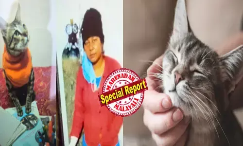 രാവിലെ എണീറ്റപ്പോൾ തന്റെ ഓമന പൂച്ചയ്ക്ക് അനക്കമില്ല; ആശുപത്രിയിലെത്തിച്ചപ്പോൾ മരണം സ്ഥിരീകരിച്ചു; സങ്കടം സഹിക്കാൻ കഴിയുന്നില്ല; പൊലിഞ്ഞുപോയ കുഞ്ഞു ജീവനെ നെഞ്ചോട് ചേർത്ത് നടന്നത് രണ്ട് ദിവസം; ഏകാന്തതയിലേക്ക് തളർത്തികളഞ്ഞു; മനംനൊന്ത് യുവതി ചെയ്തത്; വേദനയോടെ കുടുംബം