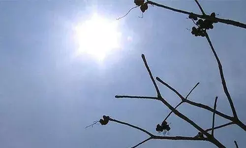 സംസ്ഥാനത്ത് ഇന്നും ഉയര്‍ന്ന ചൂട് മുന്നറിയിപ്പ്; ഒറ്റപ്പെട്ട ഇടങ്ങില്‍ 2 ഡിഗ്രി മുതല്‍ 3 ഡിഗ്രി വരെ താപനില ഉയരാന്‍ സാധ്യത; ജാഗ്രതാ നിര്‍ദേശങ്ങള്‍ പുറത്തിറക്കി സംസ്ഥാന ദുരന്ത നിവാരണ അതോറിറ്റി