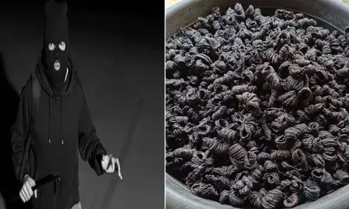 മതില്‍ ചാടിയും പൂട്ടു തകര്‍ത്തും വിശാലമായി തെരഞ്ഞും മോഷണം; ഒന്നും കിട്ടാതെ പോയ കള്ളനെ അവസാനം തുണച്ചത് കുടത്തിലെ നിധി; ഒരു കുന്തവും കിട്ടാതെ വന്ന കളളന്‍ പോയത് രണ്ടു കിലോ കുടംപുളിയുമായി