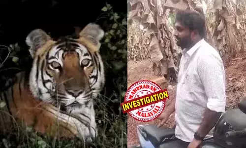 രാത്രിയില്‍ കടുവക്ക് മുന്നില്‍പ്പെട്ടെന്ന് പറഞ്ഞത് പച്ചക്കള്ളം; കരുവാരക്കുണ്ടില്‍ യുവാവ് പ്രചരിപ്പിച്ച പഴയ വീഡിയോ എഡിറ്റ് ചെയ്തത്;   കടുവയുടെ കാല്‍പ്പാടുകള്‍ കണ്ടെത്തിയില്ല;  ജനങ്ങളില്‍ ഭീതിയുണ്ടാക്കാന്‍ ശ്രമിച്ചെന്ന പരാതിയില്‍ യുവാവിനെതിരെ കേസ്