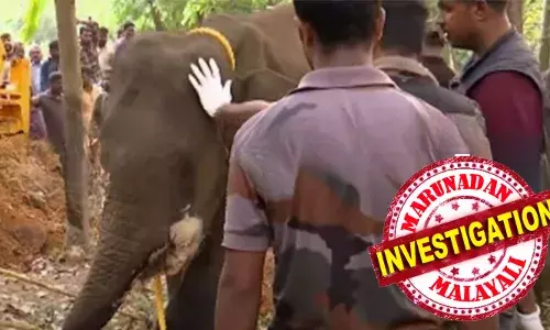 പന്നിപ്പടക്കം കടിച്ചുണ്ടായ സ്‌ഫോനടത്തില്‍ ഗുരുതര പരിക്കേറ്റ് ആന ചരിഞ്ഞ സംഭവം; അന്വേഷണം ആരംഭിച്ച് വനം വകുപ്പ്; സ്ഥലത്ത് സ്‌ഫോടകവസ്തുക്കള്‍ കണ്ടെത്തുന്നതിനായി പരിശോധന നടത്തി; ഫാമില്‍ നിന്നോ ജനവാസമേഖലയില്‍ നിന്നോ ആകാം ആന പടക്കം കഴിച്ചതെന്നാണ് നിഗമനം