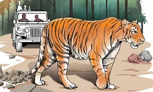 പശുക്കിടാവിനെ വന്യജീവി ആക്രമിച്ചു കൊന്നു; കടുവയെന്ന് സംശയം; കാല്‍പ്പാടുകളുടെ അടിസ്ഥാനത്തില്‍ പരിശോധന നടത്തും