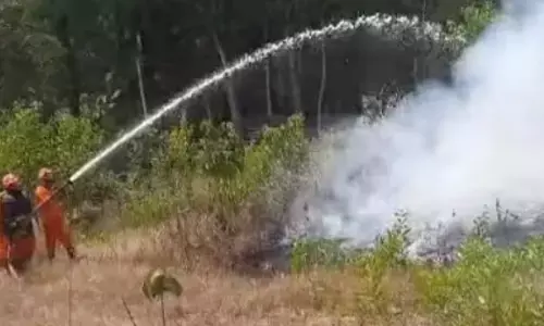 ബൗണ്ടർമുക്ക് വനമേഖലയിൽ തീപിടുത്തം; രണ്ടേക്കറോളം കത്തി നശിച്ചു; തീപടർന്നത് മുറിച്ച മരങ്ങളുടെ അവശിഷ്ടങ്ങൾക്കിടയിൽ നിന്നെന്ന് സംശയം