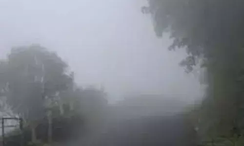 കേരളം ചുട്ടുപൊള്ളുമ്പോള്‍ തണുത്തുറഞ്ഞ് മൂന്നാര്‍; താപനില രണ്ട് ഡിഗ്രി സെല്‍ഷ്യസ്