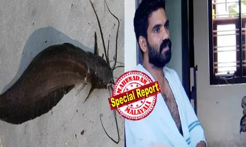 കുളം വൃത്തിയാക്കു​മ്പോൾ ഒരു മുള്ള് കുത്തിയപോലെ വേദന; പരിശോധനയിൽ ‘കടു’ കൊത്തിയതെന്ന് തെളിഞ്ഞു; മുഷി വിഭാഗത്തിൽപ്പെട്ട അപകടകാരിയായ മീൻ; പിന്നാലെ അപൂർവയിനം അണുബാധ ശരീരത്തിലേക്ക്; യുവാവിന്‍റെ വലത് കൈപ്പത്തി മുറിച്ചുമാറ്റി
