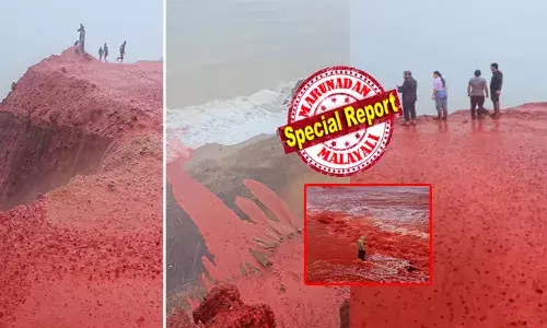 കോരിച്ചൊരിയുന്ന മഴയിൽ മുങ്ങി കടൽ പ്രദേശം; പാറകളിൽ നിന്നും ഒഴുകിയെത്തിയ വെള്ളത്തിന്റെ നിറം ഒന്ന് ശ്രദ്ധിച്ചു; കളർ കണ്ട് സഞ്ചാരികൾ വരെ പതറി; വെള്ളത്തിന് രക്ത നിറം; എങ്ങും ചോരപ്പുഴ; ഇത് ലോകാവസാനമോ? എന്ന് ചിലർ; അത്ഭുത പ്രതിഭാസത്തിന് പിന്നിലെ കാരണം കണ്ടെത്തി ശാസ്ത്രലോകം!
