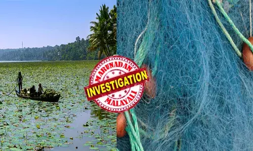 ഒറ്റ വീശലിൽ കിട്ടുന്നത് നല്ല മുന്തിയ ഇനം കായൽ മീനുകൾ; കരിമീന്‍, കിളിമീന്‍ ഉൾപ്പടെ വലയിൽ കുരുങ്ങും; വിറ്റ് പോകുന്നത് ശരവേഗത്തിൽ; പെട്ടെന്ന് അടുത്തവന്റെ വളർച്ചയിൽ അസൂയ; ഇതൊന്നും ഇഷ്ടപ്പെടാതെ തൊഴിലാളിയോട് ചെയ്തത്; 45കാരനെ പൊക്കി പോലീസ്; നശിപ്പിച്ച ഉരുപ്പടിയുടെ വിലയിൽ ഞെട്ടൽ