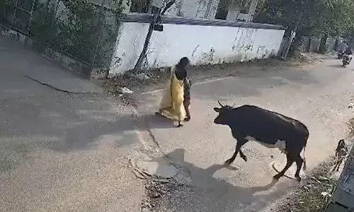 മകളുമായി അമ്മ റോഡ് മുറിച്ച് കടക്കാൻ നിന്നത് ശ്രദ്ധിച്ചു; പൊടുന്നനെ പശു പാഞ്ഞെടുത്ത് ആക്രമണം; ഇരുവരെയും കൊമ്പിൽ കുത്തിയെറിഞ്ഞു; നിലവിളി കേട്ട് നാട്ടുകാർ ഓടിയെത്തി; ദൃശ്യങ്ങൾ പുറത്ത്