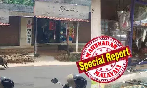 കൊടുമണ്‍ ചന്ദനപ്പള്ളിയില്‍ കാട്ടുപന്നിയുടെ കളിയാട്ടം; ഓട്ടോഡ്രൈവറെയും കാറിലും ഇടിച്ചു; പൂട്ടിയിട്ട കടയ്ക്കുള്ളില്‍ ഇടിച്ചു കയറി: ഗ്ലാസ് തകര്‍ത്ത് പുറത്തു ചാട്ടം: പട്ടാപ്പകലും പന്നി വിളയാട്ടത്തില്‍ പകച്ച് നാട്ടുകാര്‍