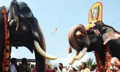 അവർ ആനകൾക്ക് പകരം രഥം കൊണ്ടുവരാൻ ശ്രമിക്കുന്നു; ഇതൊക്കെ ക്ഷേത്രാചാരങ്ങളുടെ ലംഘനമാണ്; സർക്കാർ ഇടപെടണം; ആന എഴുന്നള്ളിപ്പ് മുടക്കാൻ ശ്രമിക്കുന്നതിനെതിരെ ദേവസ്വങ്ങള്‍ രംഗത്ത്