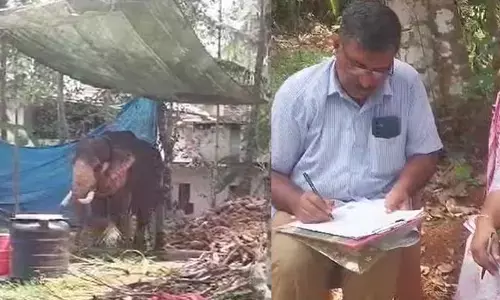 അനുമതി ഇല്ലാതെ ആനയെ എഴുന്നള്ളിപ്പിച്ചു; കടുത്ത നടപടിയുമായി വനം വകുപ്പ്; ഗജേന്ദ്രനെ കസ്റ്റഡിയിലെടുത്തു