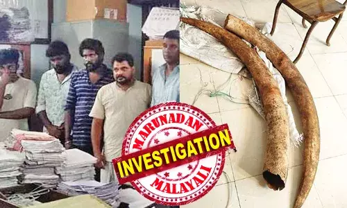 ഇലക്ട്രിക് സാധനങ്ങള്‍ വില്‍ക്കുന്ന കടയില്‍ നിന്നും പിടികൂടിയത് രണ്ട് ആനക്കൊമ്പുകള്‍; സംഭവത്തില്‍ എട്ട് പേര്‍ പിടിയില്‍; പിടിയിലായത് വില്‍ക്കാന്‍ ശ്രമിക്കുന്നതിനിടെ; ആനക്കൊമ്പ് പിടികൂടാന്‍ ഡയറക്ടറേറ്റ് ഓഫ് റവന്യൂ ഇന്റലിജന്‍സ് വിഭാഗം അധികൃതരെത്തിയത് വ്യാപാരികളെന്നപേരില്‍