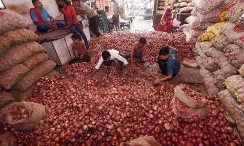 ഉല്‍പാദനം വര്‍ധിച്ചതോടെ ഉള്ളിക്ക് വില കുറഞ്ഞു; കയറ്റുമതി തീരുവ പിന്‍വലിച്ച് കേന്ദ്രസര്‍ക്കാര്‍; ഏപ്രില്‍ ഒന്നുമുതല്‍ പ്രാബല്യത്തില്‍