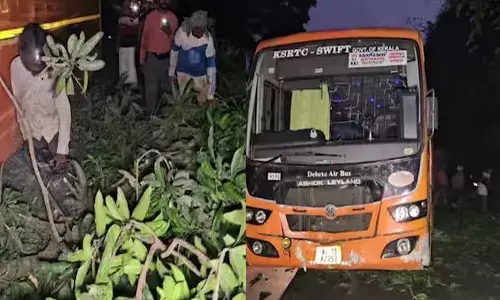 താമരശ്ശേരിയില്‍ റോഡില്‍ മാങ്ങ പെറുക്കുന്നവര്‍ക്കിടയിലേക്ക് കെഎസ്ആര്‍ടിസി ബസ് പാഞ്ഞുകയറി അപകടം; മൂന്നു പേര്‍ക്ക് പരിക്ക്: ഒരാളുടെ നില ഗുരുതരം