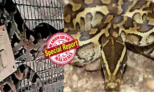 ഭാഗ്യം...തലയിൽ ആയില്ല!; രാവിലെ കോഴിക്കൂട് തുറക്കാനെത്തിയ ആളൊന്ന് പതറി; നല്ല നീളത്തിലും വണ്ണത്തിലും തടിപ്പോലെ തോന്നിക്കുന്ന ഒരു വസ്തു; അടുത്ത് ചെന്നതും സ്വഭാവം മാറി; കുതറിയോടി വീട്ടുടമ; എല്ലാവരും രക്ഷപ്പെട്ടത് തലനാരിഴയ്ക്ക്